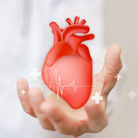 cardiology image
